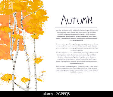 Birch trees autumn vector background Stock Vector