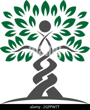 Tree icon  Tree branch design vector illustration Stock Vector