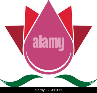 Beauty Lotus flowers logo icon design template Stock Vector