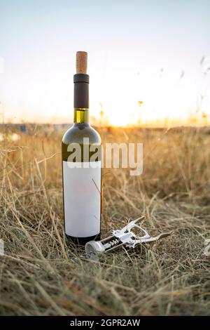 Open bottle of red wine with empty label, natural cork and metal corkscrew Stock Photo