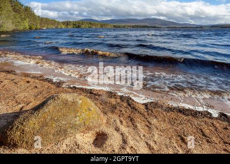 Choppy water on Loch Garten in Scotland Stock Photo