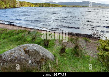 Choppy water on Loch Garten in Scotland Stock Photo