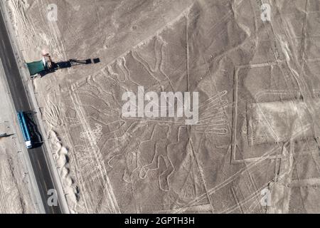 Aerial view of geoglyphs near Nazca - famous Nazca Lines, Peru. In the center, Tree figure is present. Observation tower and Panamericana highway on t Stock Photo