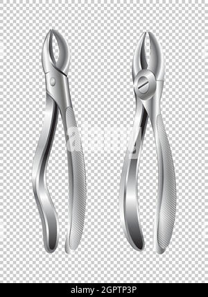 Two surgical pliers on transparent background Stock Vector