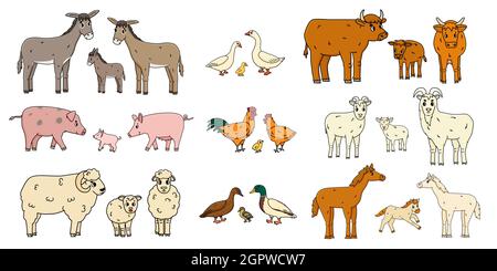 Cute farm animals families isolated on white background. Vector cartoon outline doodle animals collection: donkey goose cow ox pig hog chicken hen roo Stock Vector