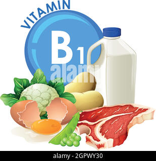 A set of vitamin B1 food Stock Vector