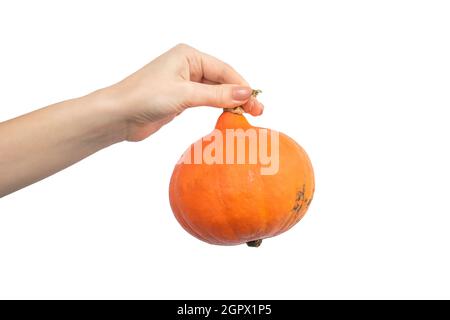 Woman hand holding Hokkaido pumpkin isolated on a white background Stock Photo
