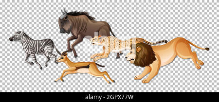 Group of wild African animals on transparent background Stock Vector