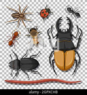 Set of different insects on transparent background Stock Vector