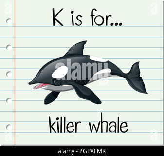 Flashcard letter K is for killer whale Stock Vector