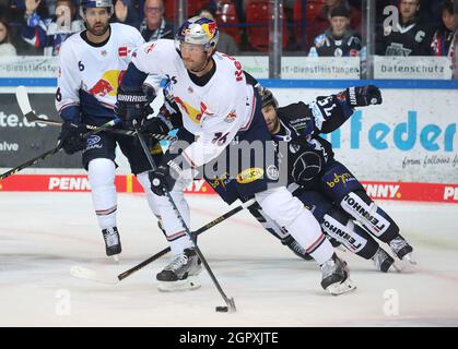 Eishockey - Leon der Löwe