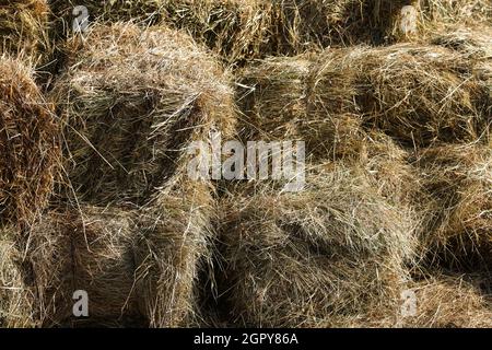 full frame close-up view of rectangular hay stacks Stock Photo