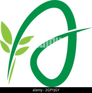 Vines template design, shrubs forming letter A illustration Stock Vector
