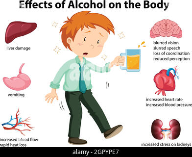 Effects of alcohol on the body illustration Stock Vector Image & Art ...