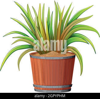 plant in wooden pot Stock Vector