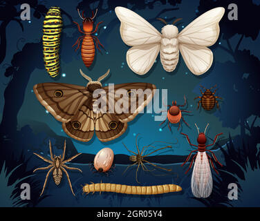 Set of different insects isolated Stock Vector