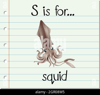 Flashcard letter S is for squid Stock Vector