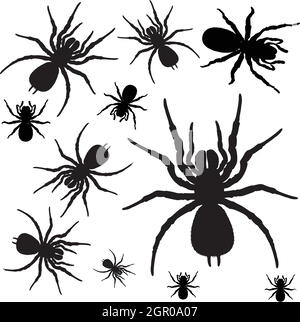 Spiders Stock Vector