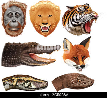 Set of animal heads Stock Vector