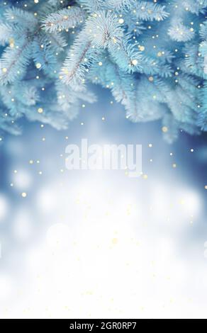 Beautiful blue Christmas tree, snowflakes on snow and winter background. Stock Photo