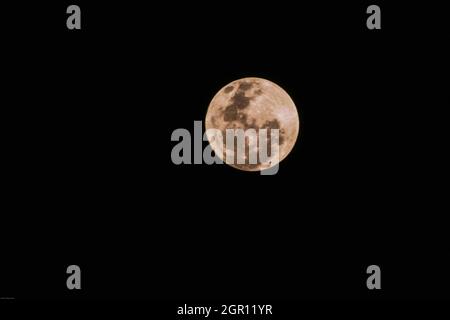 Full moon in the night, the dark sky no clouds, clear shoot in London, Ecuador. Waiting for the real wolf in the middle of the woods. Stock Photo