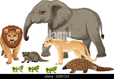Group of wild african animal on white background Stock Vector