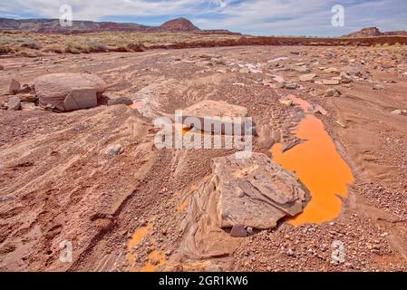 View of the Lithodendron Wash that flows through the Petrified Forest National Park in Arizona. Stock Photo