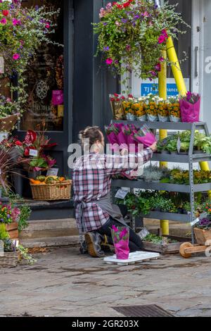 florists shop with man stacking shelves with fresh plants and flowers for display on the side of the street, flower seller and floral gifts shopping. Stock Photo
