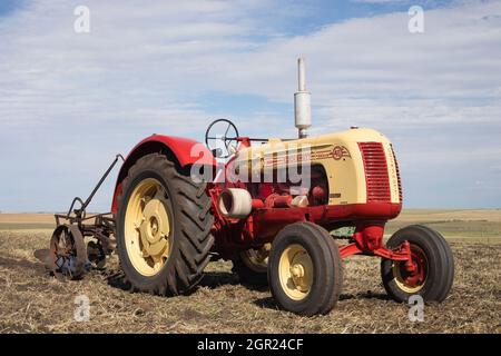 Cockshutt Model 40 Deluxe vintage tractor pulling plough in a farm field to till soil after fall harvest. This model was manufactured from 1949 - 1958 Stock Photo