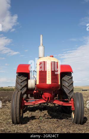 Cockshutt Model 40 Deluxe vintage tractor, a product manufactured from 1949 to 1958, in a farm field Stock Photo