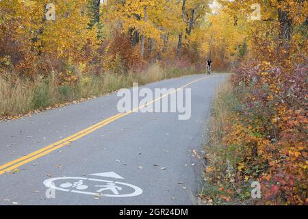 Cyclist riding bicycle through city park on a paved bike path designated for shared use by both cyclists and pedestrians, in autumn Stock Photo