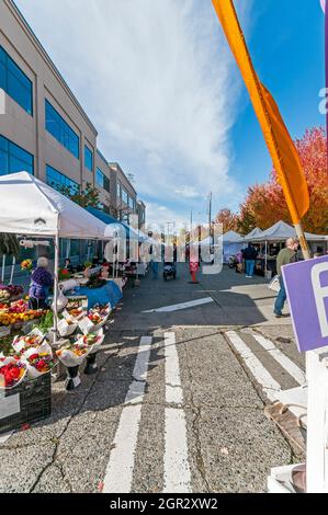 The street is blocked off at the Fremont Sunday Market at Evanston Avenue N and N 34th Street in Fremont, Washington. Stock Photo