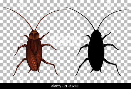 Cockroach on transparent background Stock Vector
