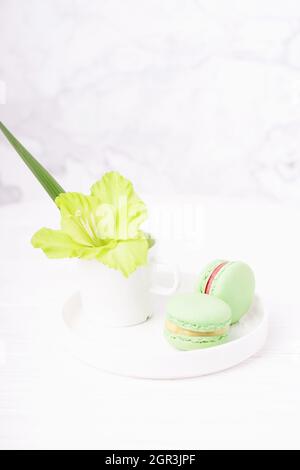 Green mint macarons and green gladiolus flower on white marble background, copy space Stock Photo