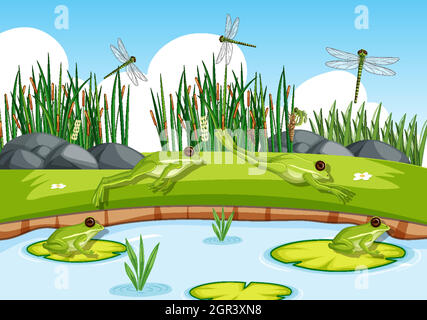 Many green frogs and dragonfly in the pond scene Stock Vector