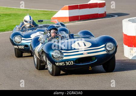 1956 and 1955 Jaguar D Type Ecurie Ecosse classic, vintage race car, racing in the Lavant Cup at the Goodwood Revival 2014. MWS 303 CHASSIS NO XKD 561 Stock Photo