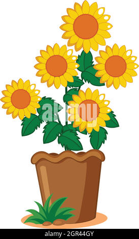 Sunflower plant in the pot Stock Vector