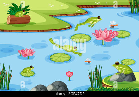 Many green frogs in the pond scene Stock Vector