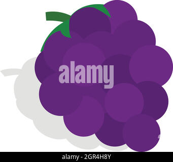 Bunch of blue grapes icon, isometric 3d style Stock Vector