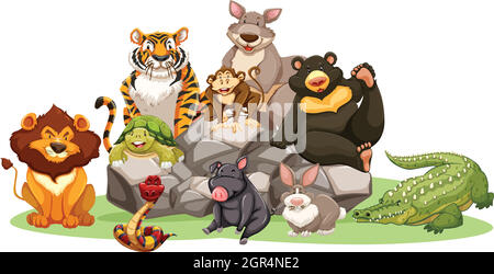 Different kinds of wild animals on the rock illustration Stock Vector ...