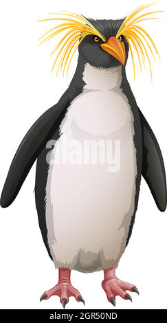 Rockhopper penguin Stock Vector