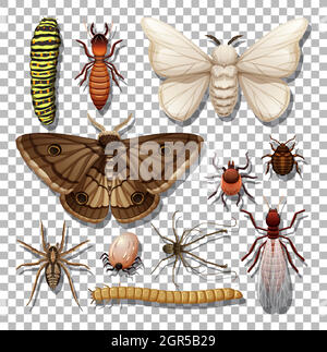 Set of different insects on transparent background Stock Vector