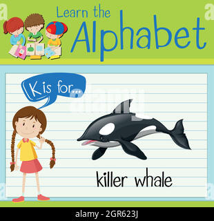 Flashcard letter K is for killer whale Stock Vector