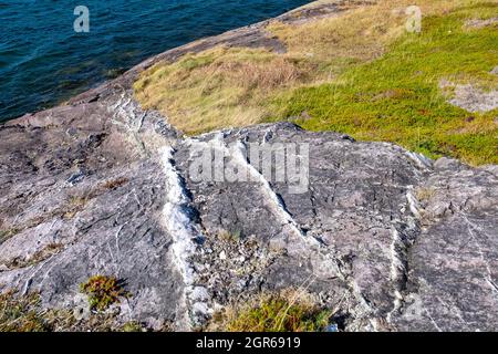 A downward view of multiple white and grey quartz veins running through a gray rocky mountain cliff.  There's grass and ocean water in the background. Stock Photo