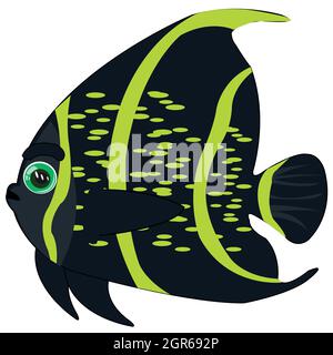 Colorful tropical fish on white background is insulated Stock Vector