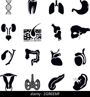 Internal organs icons set, simple style Stock Vector