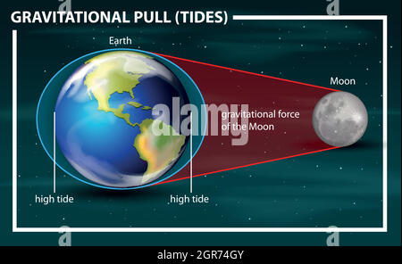 gravitational pull tides diagram Stock Vector