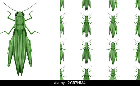 Grasshopper insects isolated on white background and seamless Stock Vector