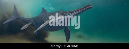 Ichthyosaur, Stenopterygius quadriscissus swimming in the ocean, extinct marine reptile from Early Triassic to Late Cretaceous, 3d science rendering b Stock Photo