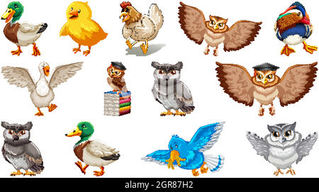 Set of different birds cartoon style isolated on white background Stock Vector